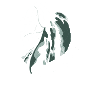 Happy New Year Bonne Annee Sticker by Monstera Mania
