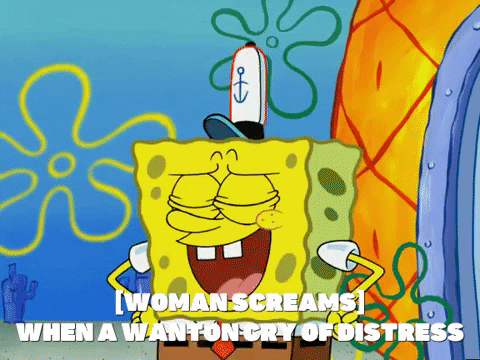 season 5 blackened sponge GIF by SpongeBob SquarePants
