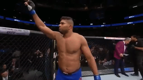 ufc 213 GIF
