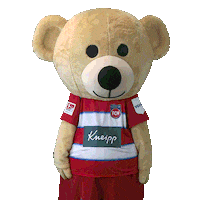 Kids Club Bar Sticker by 1. FC Heidenheim 1846