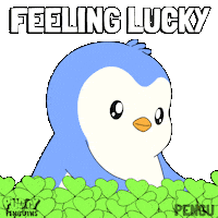 Best Of Luck Sticker by Pudgy Penguins