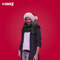 Merry Christmas GIF by SWR3