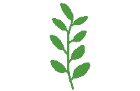 Art Illustration Sticker