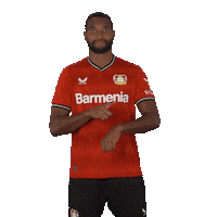 Come On Waiting Sticker by Bayer 04 Leverkusen