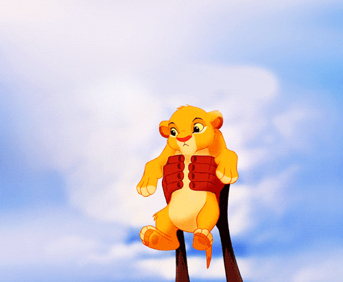 The Lion King Love GIF