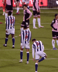 West Brom Campbell GIF by West Bromwich Albion