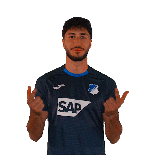 Sport Bundesliga Sticker by TSG Hoffenheim