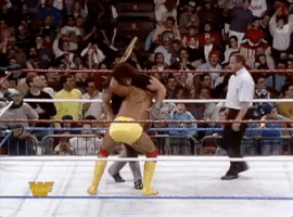 hulk hogan GIF by WWE