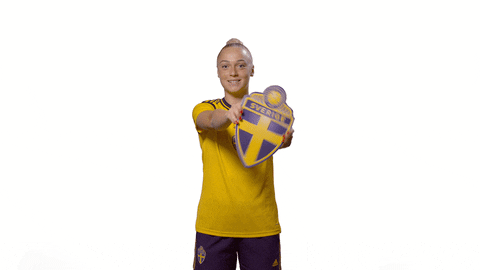 Sport Soccer GIF by Swedish Football Association