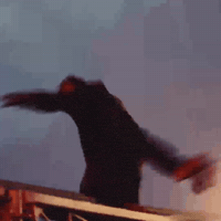 Rolling Loud GIF by Respective