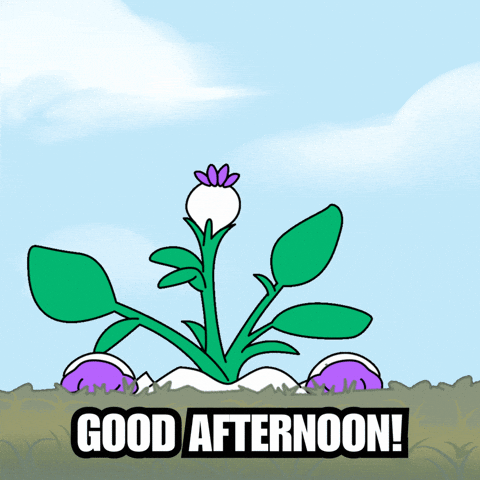 Happy Good Morning GIF by Magic Eden