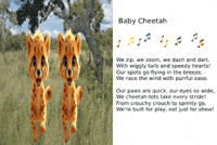 Ai Generated GIF