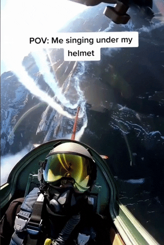 waynedeboer giphygifgrabber pilot GIF