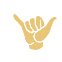 Chicheoupaschichegeneve hand promise main geneve Sticker