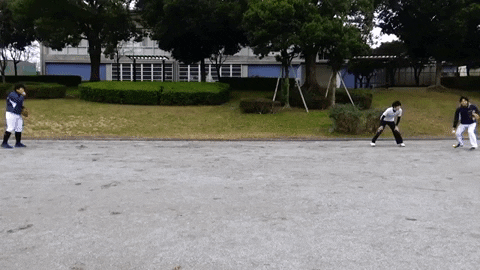 9log giphygifmaker GIF
