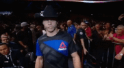 ufc 206 GIF