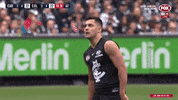 carlton blues cfcgif GIF by Carlton Football Club