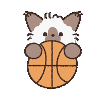 Basketball Ok Sticker by koimoffee