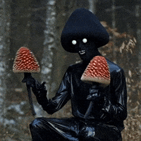 doopiidoo forest mushroom latex maracas GIF
