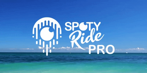GIF by SPOTYRIDE