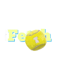 Dog Fetch Sticker by MISO PUP