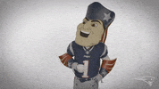Football Sport GIF by New England Patriots