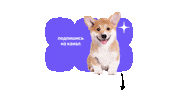 Дзен Sticker by ZenPlatform