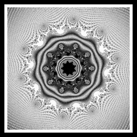 Loop Nft GIF by xponentialdesign