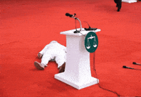 Flag Waving GIF