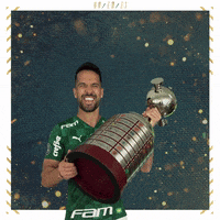 Soccer Futebol GIF by SE Palmeiras