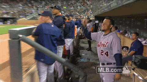 Excited Major League Baseball GIF by Detroit Tigers