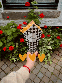 Iamfriedt delicious chips fries maastricht GIF