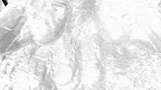 GIF by Miron