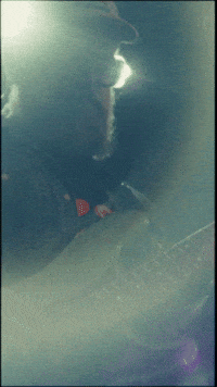 Good Road Band GIF by John Oates