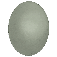 aykimkio food chicken egg eggs Sticker