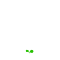 Flower Spring Sticker