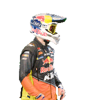 Dakar Sticker by Red Bull