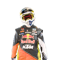 Dakar Sticker by Red Bull