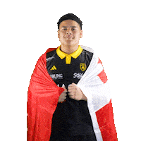 Rugby Kite Sticker by Stade Rochelais