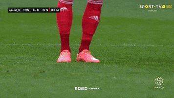 Sl Benfica Side Eye GIF by Sport Lisboa e Benfica