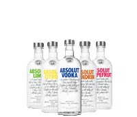 party rainbow Sticker by Absolut Vodka