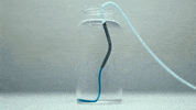 medicine gel GIF by Harvard University