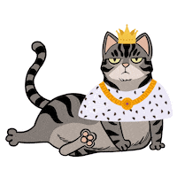 Cat Sticker