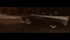 woman driving GIF by Kesha