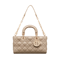 Fashion Bag Sticker by Dior