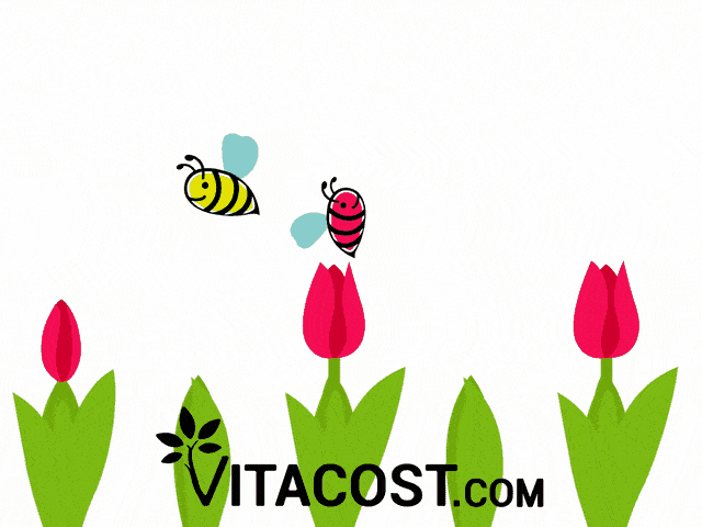 Vitacost giphyupload flowers spring bee GIF