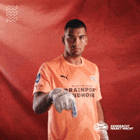 Celebrate Football Club GIF by PSV