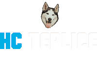 Hokej Sticker by HC Teplice