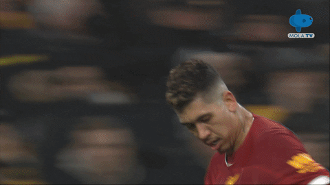 GIF by MolaTV
