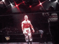 shawn michaels wrestling GIF by WWE